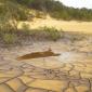 mini-fraser island (9).jpg - 9/22
4 Commentaires